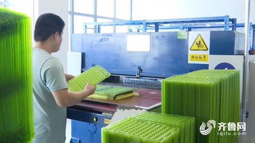 濰坊市坊子區 項目全生命周期服務推進機制優化營商環境 重大項目快速建成投產